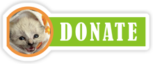 Donate